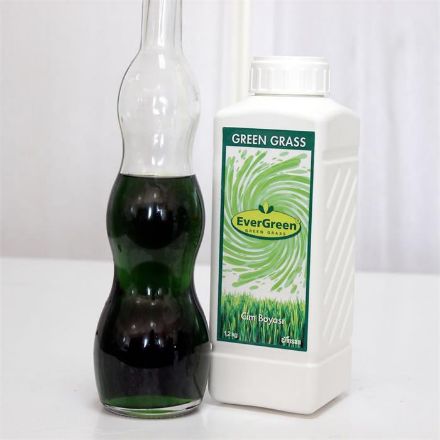 Green Grass Çim Boyası 1 Lt resmi