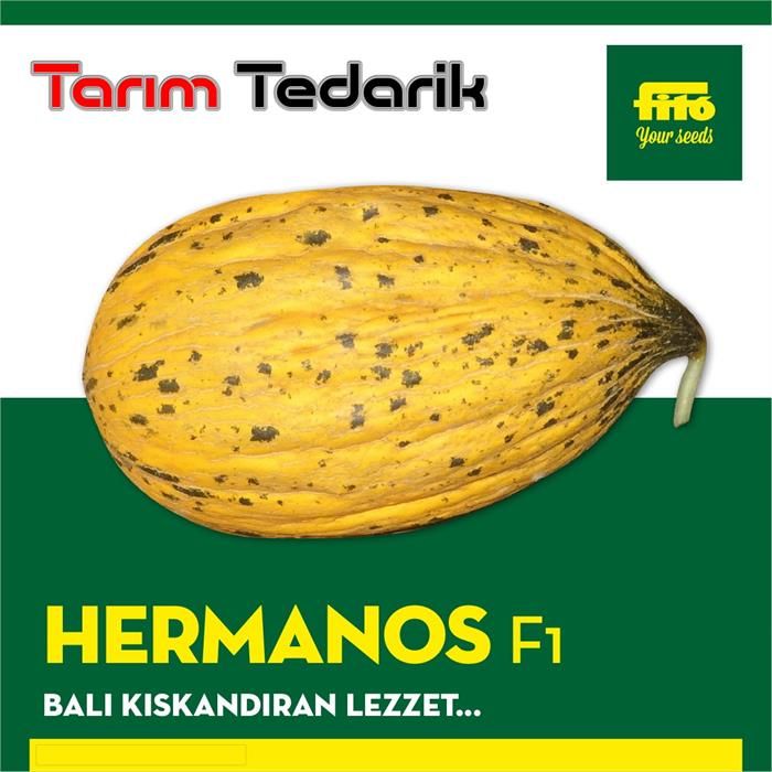 Hermanos F1 Kavun Tohumu (Kırkağaç) resmi