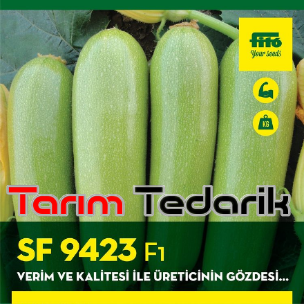 Sf 9423 F1 Kabak Tohumu (Virüse Tolerans - Beyaz) resmi