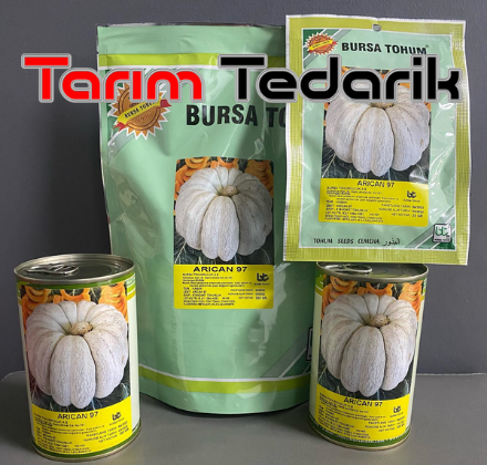 Arıcan 97 (Bal Kabağı) Kabak Tohumu resmi