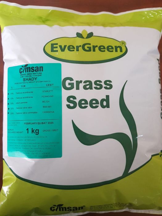 Evergreen Shady Place 5’ Ii Karışım Gölge Alan İçin Çim Tohumu 1 Kg resmi