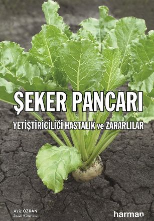 Şeker Pancarı Yetiştiriciliği Hastalık ve Zararlılar resmi